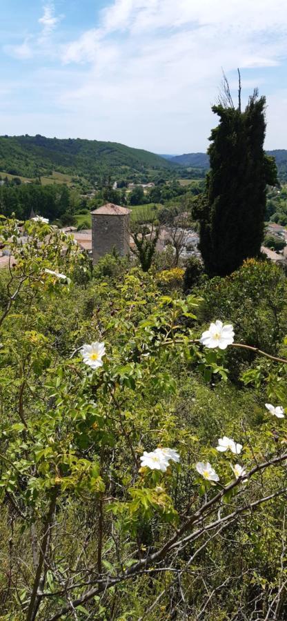 Loc Alp Verdon Riez Exterior photo